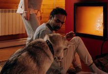 Des gens et un chien confortable grâce à un entreprise de chauffage.