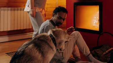 Des gens et un chien confortable grâce à un entreprise de chauffage.